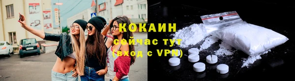 PSILOCYBIN Михайлов