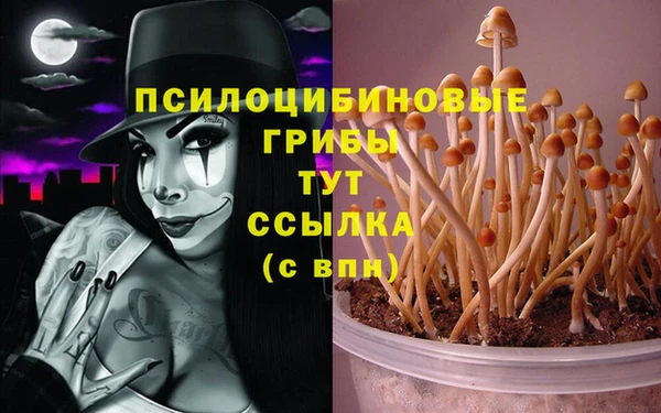 ешки Горнозаводск