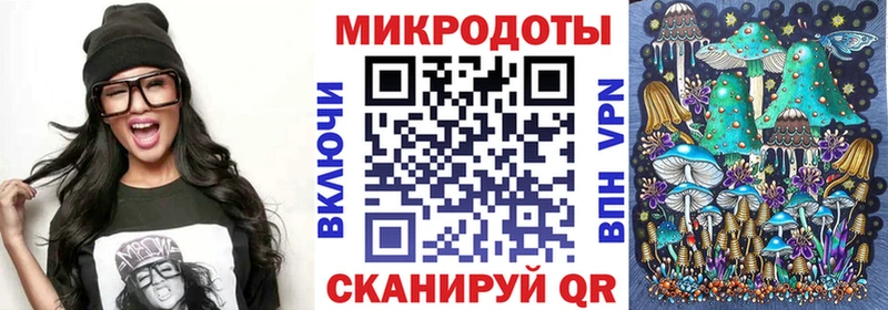 Купить  Камбарка  Псилоцибиновые грибы Psilocybe 